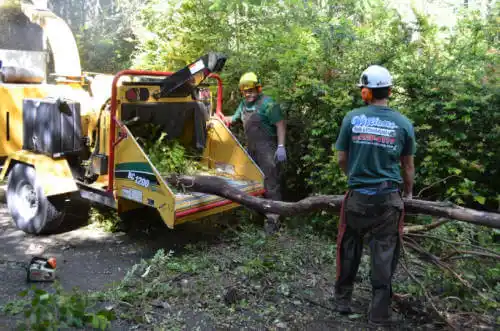 tree services McLouth